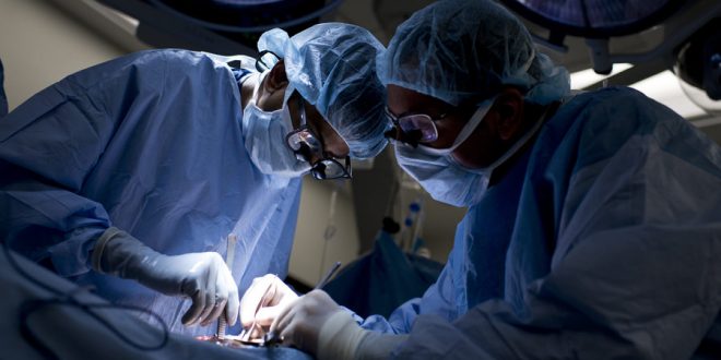 Access to Organ Transplants on the Rise in Canada, Report
