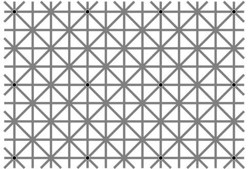 Can you spot all twelve black dots in this mind-bending optical illusion?
