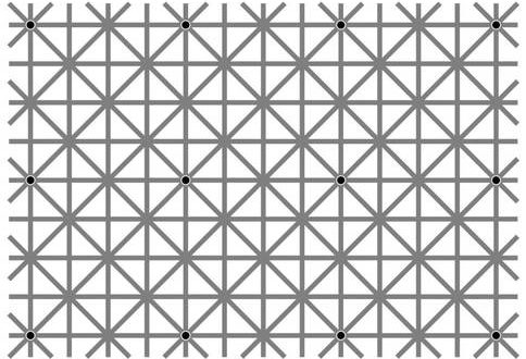 Can you spot all twelve black dots in this mind-bending optical illusion?