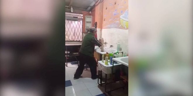 Hilarious video shows dog groomer singing and dancing (Watch)
