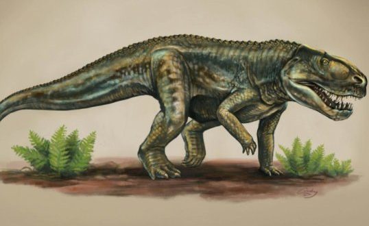 New reptile species from 212 million years ago (research)
