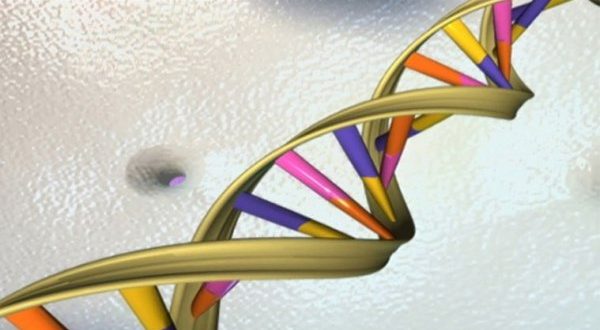 Researchers find evidence that life on Earth didn't only originate from RNA
