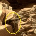 Snake spotted in NASA Mars photo feeds growing conspiracy theory (Picture)