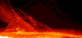 Ten years watching the sun since Hinode's launch (Photo)