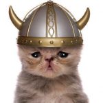 Vikings Took Cats on Their Voyages, DNA Study Shows