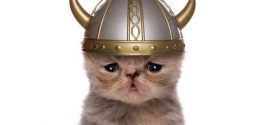 Vikings Took Cats on Their Voyages, DNA Study Shows