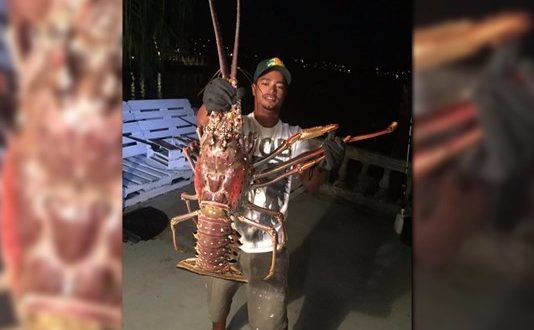 A 14-Pound Lobster? Bermuda Boat Reels In Impressive Catch (Photo)