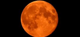 A beautiful Rare “Mega Moon” Will Be Visible This Week