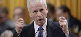 Foreign affairs minister Stéphane Dion apologizes to Alison Azer