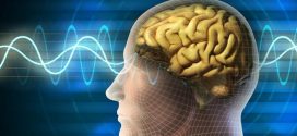 Lawson Study: 'Early marijuana use may disrupt brain function, lower IQ'