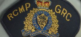 One dog killed, one injured in beating in Minnedosa