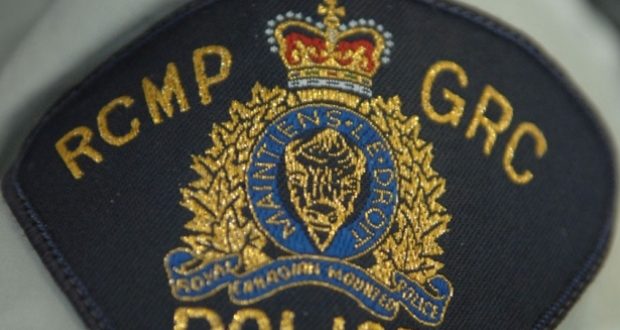 One dog killed, one injured in beating in Minnedosa