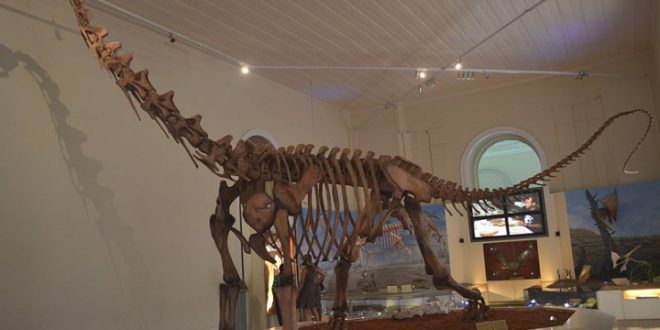 Researchers announce discovery of Brazil's largest dinosaur