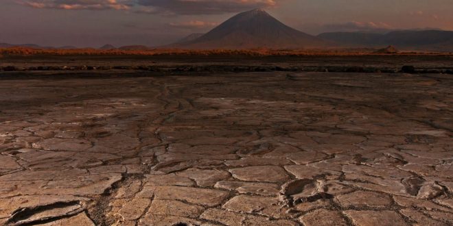 Researchers discover hundreds of footprints left at the dawn of ‘modern humanity’