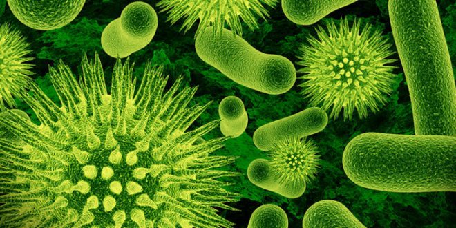 Scientists find alternative way to fight antibiotic-resistant bacteria