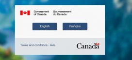 Canada's immigration site just crashed, Report