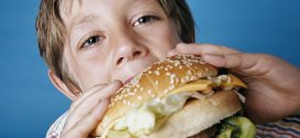 High-fat diet disrupts brain maturation, finds new research