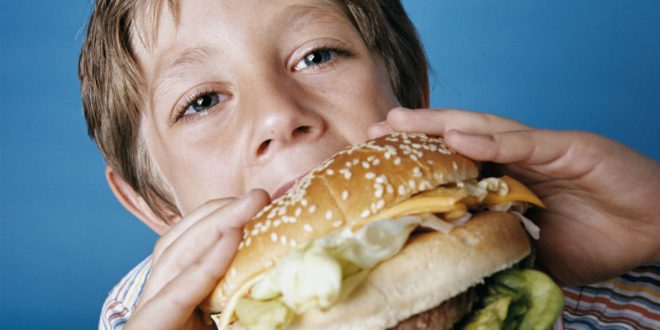 High-fat diet disrupts brain maturation, finds new study