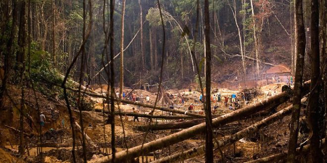 Incredible photos emerge of uncontacted tribe in the Amazon