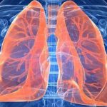 New lung transplant technique could save lives, finds new research