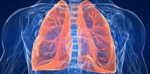 New lung transplant technique could save lives, finds new research