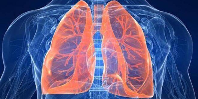 New lung transplant technique could save lives, finds new research