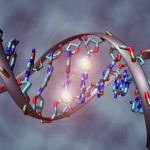 Researchers work to map human epigenome