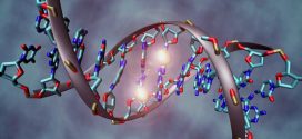 Researchers work to map human epigenome