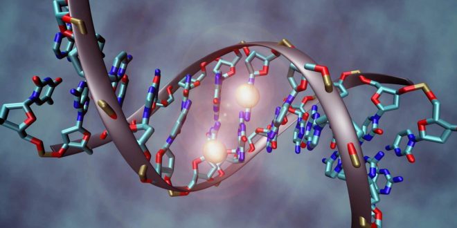 Researchers work to map human epigenome (research)