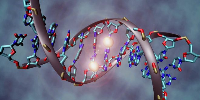 Researchers work to map human epigenome