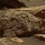 Scientists Find Brown Grizzly Bear Remains On Mars? (Photo)