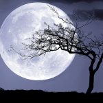 Supermoon coming to a sky near you - after 1948