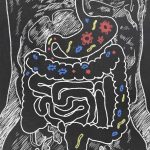 Digestive Germs May Affect Parkinson’s Disease, Study Finds