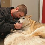 Red Deer Man Punches Cougar In The Face To Save his dog