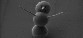 Scientist created the world's smallest snowman