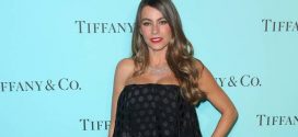 Sofia Vergara: Modern Family star reportedly sued by her own embryos