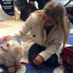 Vancouver Woman Reunites With Dog After Three Years Apart (Video)