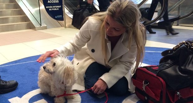 Vancouver Woman Reunites With Dog After Three Years Apart (Video)