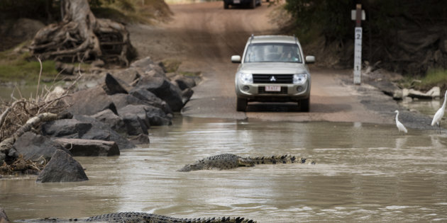 Cahills Crossing crocodile killed a man, police say