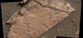 Curiosity Mars rover studies possible mud cracks