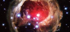 Cygnus constellation: Star predicted to explode in 2022