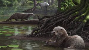 Giant otter fossil the size of a wolf discovered in China (new research)