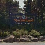 Marineland charged with six new counts of animal cruelty