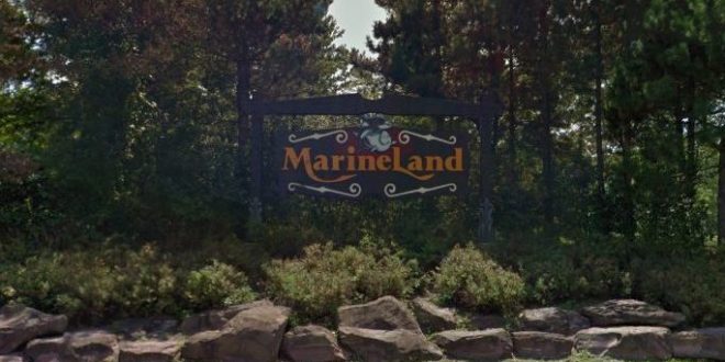 Marineland charged with six new counts of animal cruelty