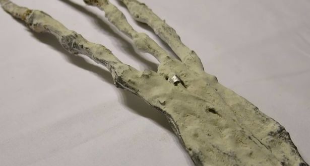 New Video of Alien found in Peru Mummy (Watch)
