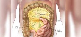 New human organ discovered - and you're going to love it!