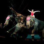 Ringling Bros. circus to close after more than 100 years