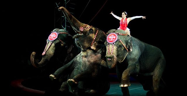 Ringling Bros. circus to close after more than 100 years