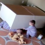 Twin Saves Brother Trapped Under Dresser (Video)