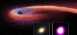 Black Hole Feeds on Star for a Decade, Says New Research